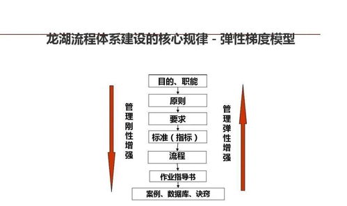 龍湖集團(tuán) 以精細(xì)化管理鍛造企業(yè)標(biāo)桿的運(yùn)營之道
